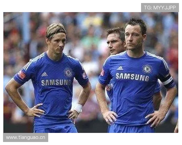 切尔西引援看似豪赌，实则试错不断，赛季表现稳定性面临考验